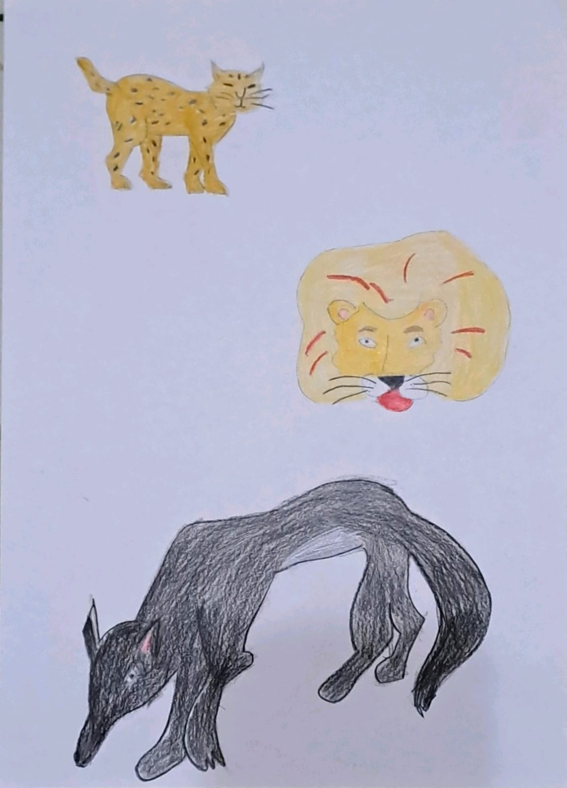 WhatsApp Image 2022 12 14 at 17.55.49